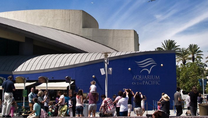 Donate your vehicle to Aquarium of the Pacific