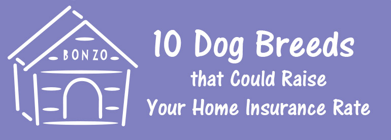 dogs affect home insurance rates